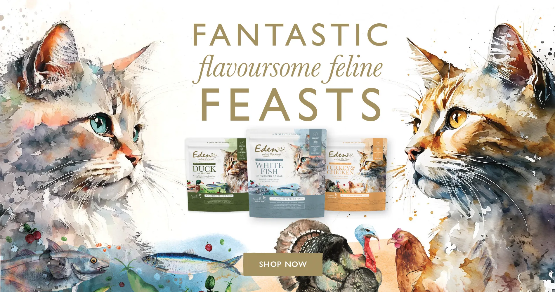 New Feline Feast Cat Range